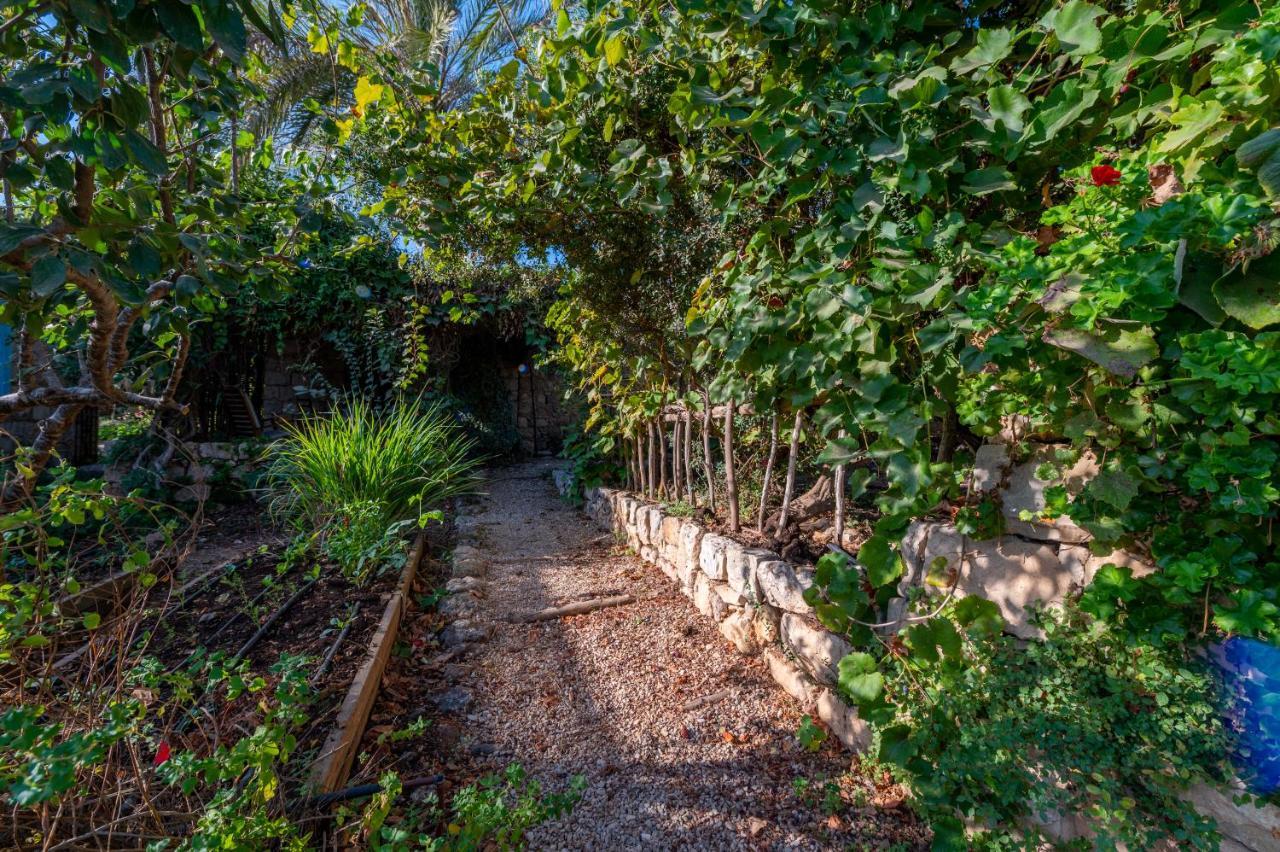 Hemdatya Stone Suites In The Galilee Ilaniya Eksteriør bilde