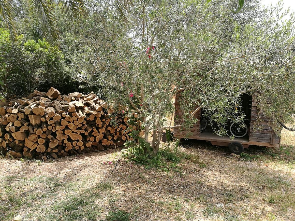 Hemdatya Stone Suites In The Galilee Ilaniya Eksteriør bilde